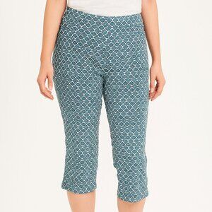 89th & Madison Capri Pants - Blue and White Size Medium EUC